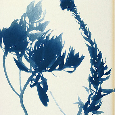 آثار کانسپت لورست کاسترو