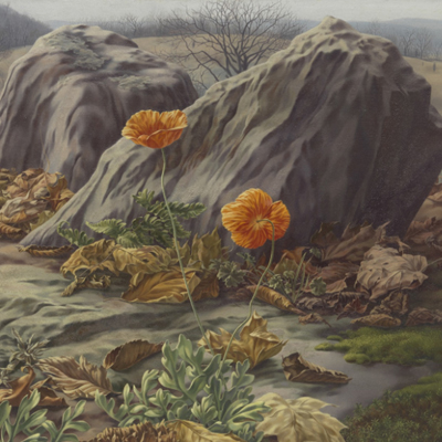 نقاشی که عناصر آثارش را از دنیایی آشنا انتخاب می کرد