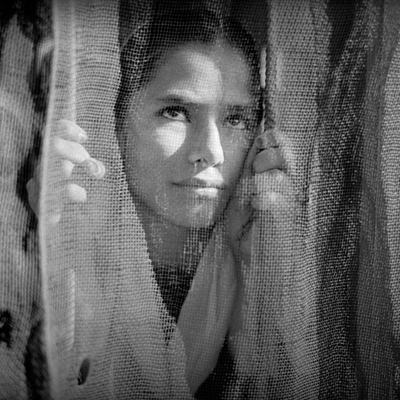 فراخوان گرنت عکاسی alexia 2020